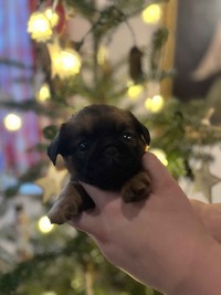 IMG_4271.jpeg