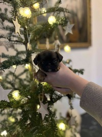 IMG_4282.jpeg